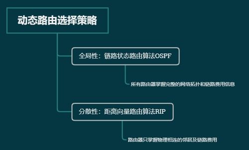 計(jì)算機(jī)網(wǎng)絡(luò)基礎(chǔ) 路由選擇協(xié)議與軟硬件及網(wǎng)絡(luò)技術(shù)開發(fā)